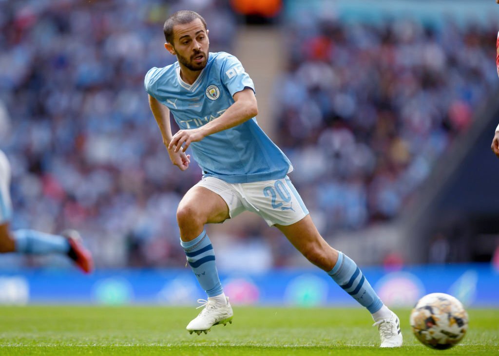 برناردو سیلوا 